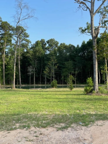 Royal Oaks RV Park RV park in Cleveland, TX (photo 1)